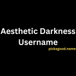 Aesthetic Darkness Username