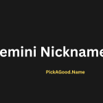 Gemini Nicknames