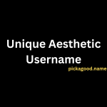 Unique Aesthetic Username