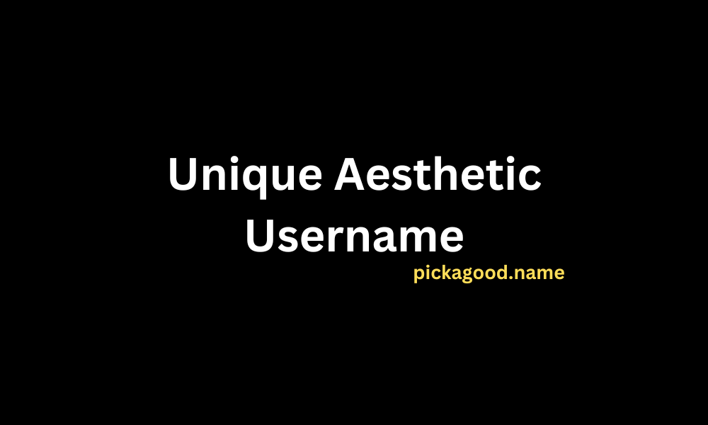 Unique Aesthetic Username