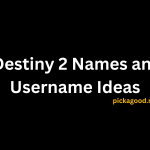 Destiny 2 Names and Username Ideas