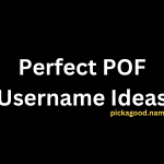 Perfect POF Username Ideas